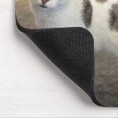Katzenmousepad Mousepad (Ecke)