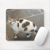 Katzenmousepad Mousepad (Mit Mouse)
