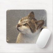 Katzenmousepad Mousepad (Mit Mouse)