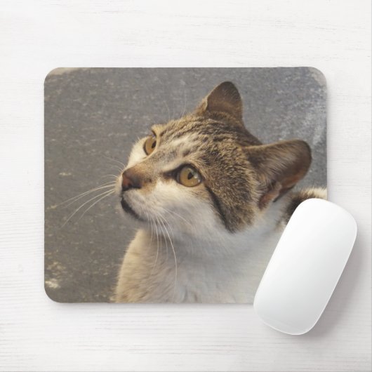 Katzenmousepad Mousepad (Mit Mouse)