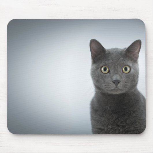 KatzenMousepad Mousepad (Vorne)