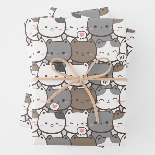 Katzenmuster Geschenkpapier Set (Beispiel)