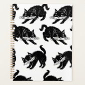 Katzenmuster Planer (Vorderseite)