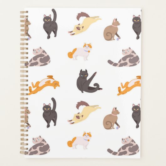 Katzenmuster Planer (Vorderseite)