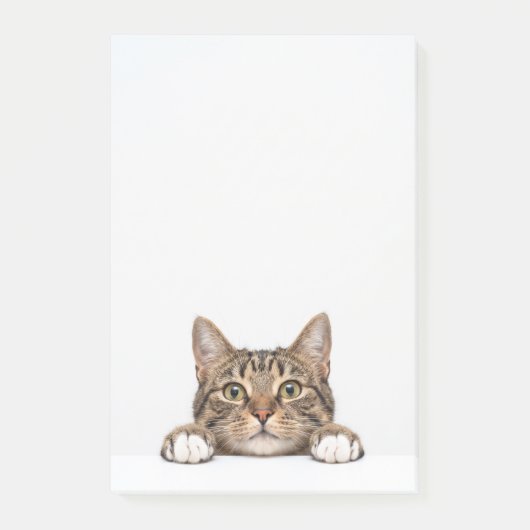 Katzenmutter Post-it Klebezettel (Vorderseite)
