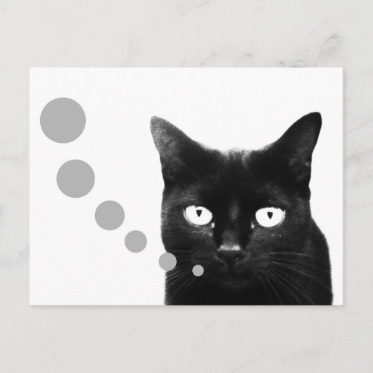 Katzennachricht Postkarte (Vorderseite)