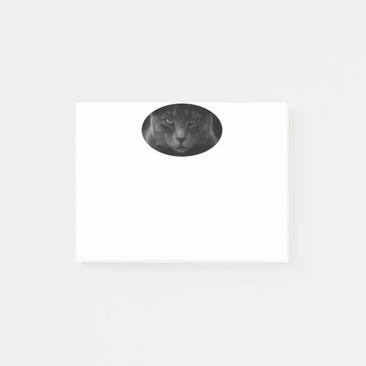 Katzennachweishinweise Post-it Klebezettel (Vorderseite)