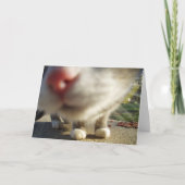 Katzennahaufnahme Karte (Vorderseite)