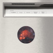 Katzennebel NGC 6334 Magnet (In Situ (Geschirrspüler))