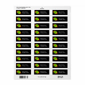 Katzennebel NGC 6543 Optical Dying Star, ZGOS (Vorne)