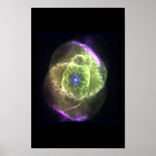 Katzennebel Poster (Vorne)