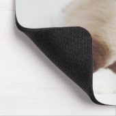 Katzenneuerung Mousepad (Ecke)