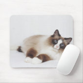 Katzenneuerung Mousepad (Mit Mouse)