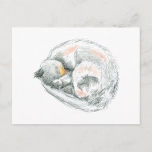 Katzennickerchen Postkarte