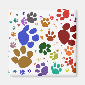 Katzenpaare Magnet