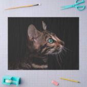 Katzenpapier Seidenpapier (Basteln)