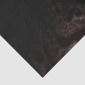 Katzenpapier Seidenpapier (Detail)