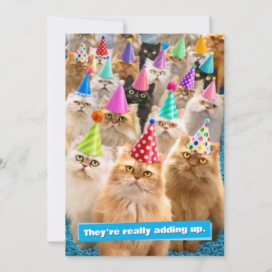 Katzenparty Einladung (Vorderseite)