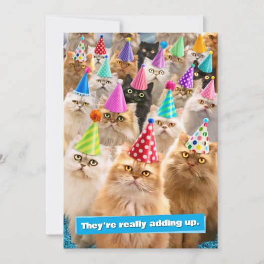 Katzenparty Einladung (Vorderseite)
