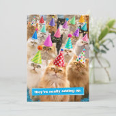 Katzenparty Einladung (Stehend Vorderseite)