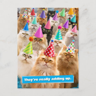Katzenparty Einladungspostkarte
