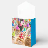 Katzenparty Geschenkschachtel (Geöffnet)