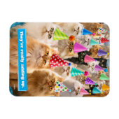 Katzenparty Magnet (Horizontal)