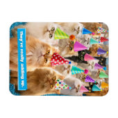 Katzenparty Magnet (Horizontal)