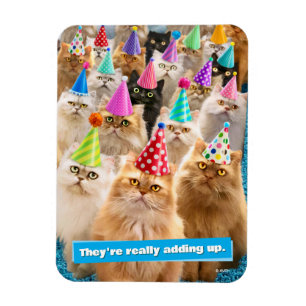 Katzenparty Magnet