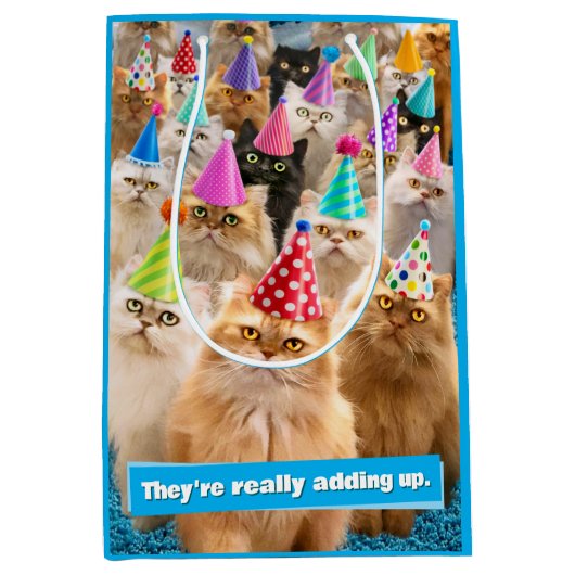 Katzenparty Mittlere Geschenktüte (Vorderseite)