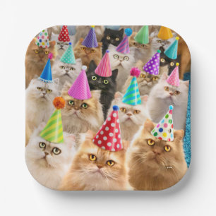 Katzenparty Pappteller