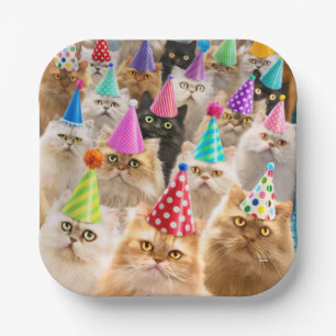 Katzenparty Pappteller