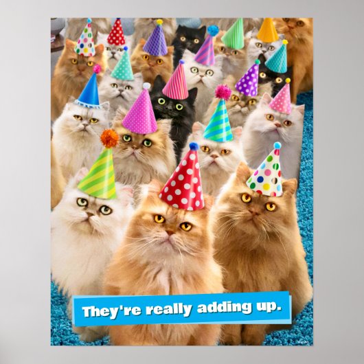 Katzenparty Poster (Vorne)