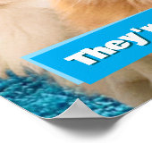 Katzenparty Poster (Ecke)