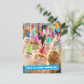 Katzenparty Postkarte (Stehend Vorderseite)