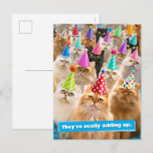 Katzenparty Postkarte (Vorne/Hinten)