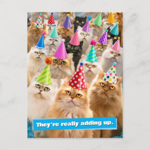 Katzenparty Postkarte
