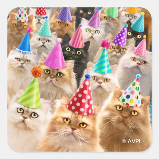 Katzenparty Quadratischer Aufkleber (Vorderseite)