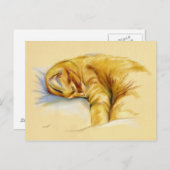 Katzenpastel - Orange Tabby Relaxte Pose Postkarte (Vorne/Hinten)
