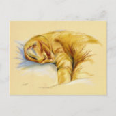 Katzenpastel - Orange Tabby Relaxte Pose Postkarte (Vorderseite)