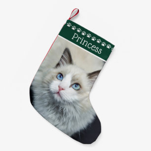 Katzenpaw-Druckname Grün Kleiner Weihnachtsstrumpf
