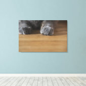 Katzenpaws Leinwanddruck (Insitu (Holzboden))