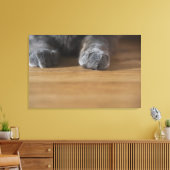 Katzenpaws Leinwanddruck (Insitu (Wohnzimmer))