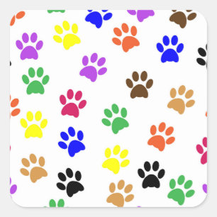 Katzenpfeffer Quadratischer Aufkleber