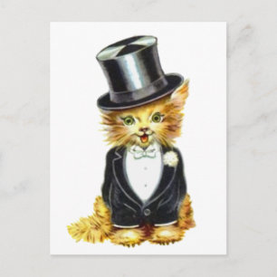 Katzenpflege Postkarte