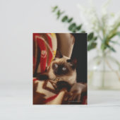 Katzenpinkeln durch Steppdecke Postkarte (Stehend Vorderseite)