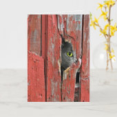 Katzenpinkeln in Hausschuhen Karte (Gelbe Blume)