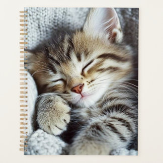 Katzenplaner Planer