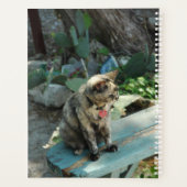 Katzenplaner Planer (Rückseite)