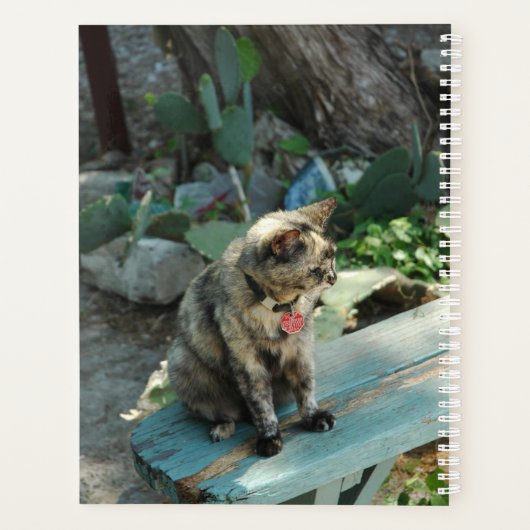 Katzenplaner Planer (Rückseite)